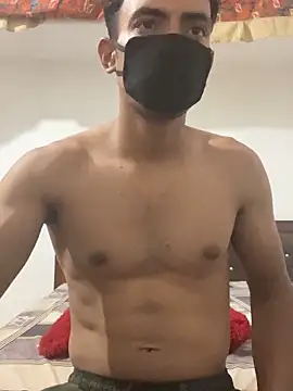 vipulreal webcam