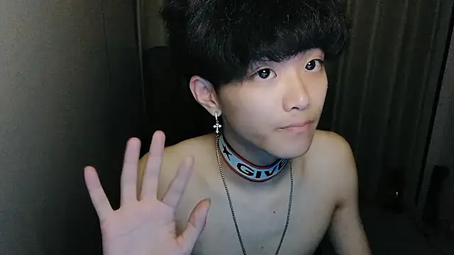 wssoo11 webcam