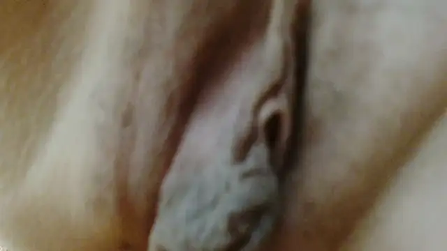 sonyx webcam