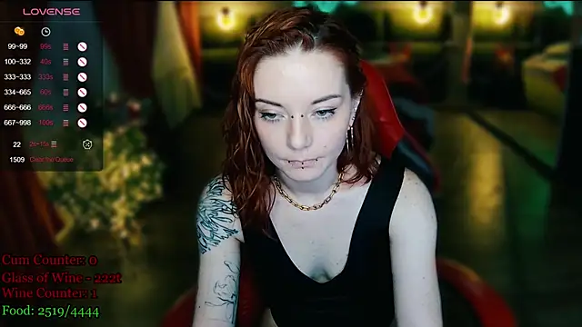 MaxPhoenixx webcam