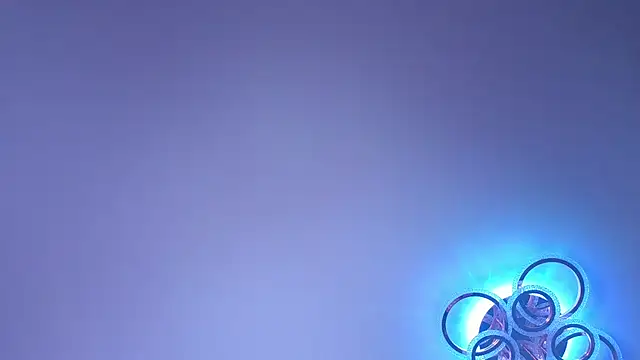 PerryKitty webcam