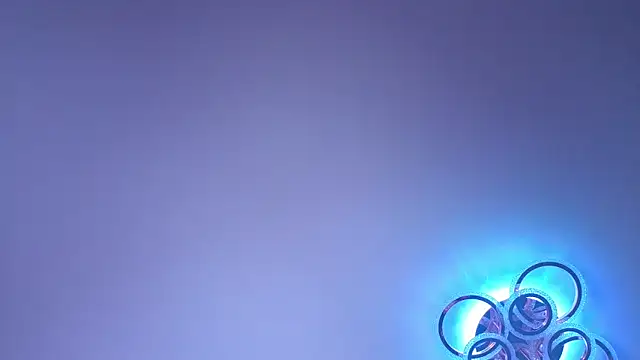 PerryKitty webcam