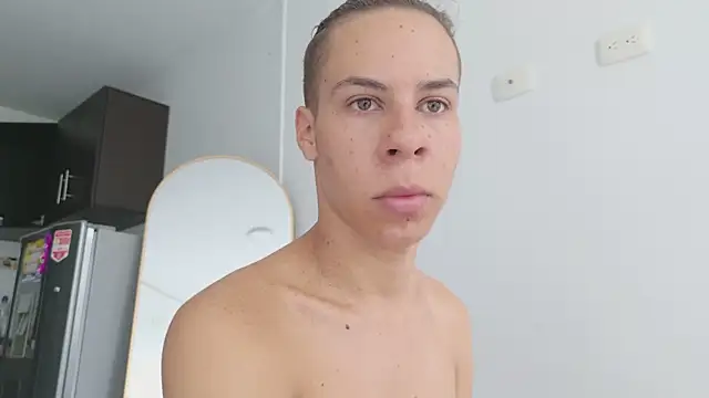 grey___27 webcam