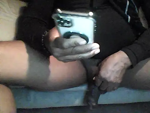 perlados webcam