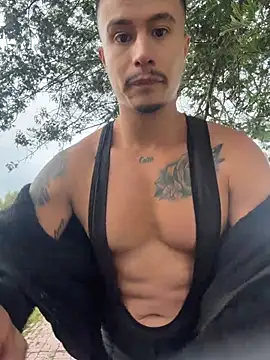 DominickSullivan webcam