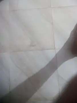 deshi9inch9 webcam