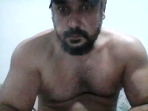 stallony webcam