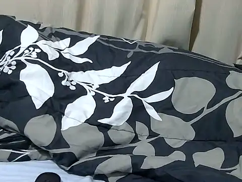 leestyline webcam