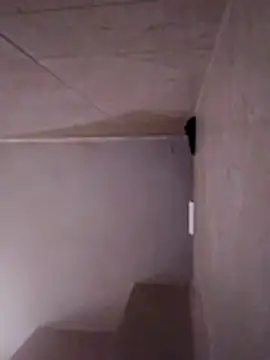 pandawash webcam