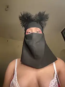 arabayla webcam