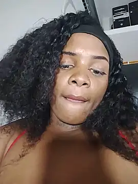 _Shirley_ webcam