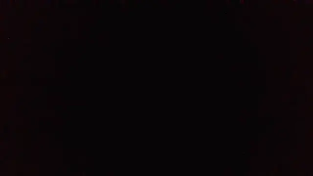 panda_06200 webcam