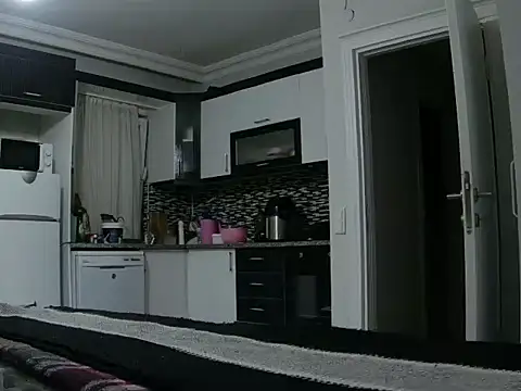 ALPHANDRE webcam