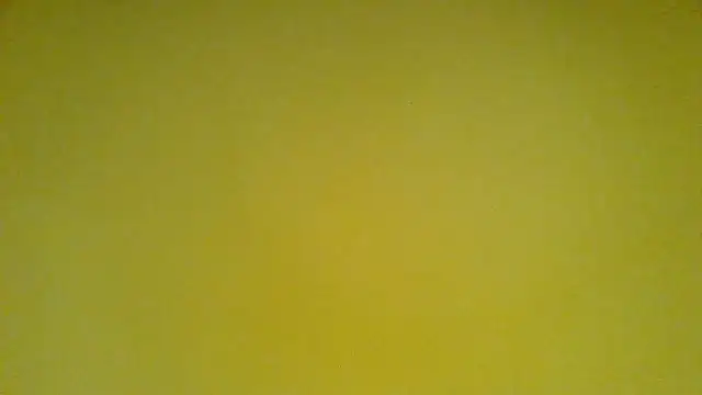 evanblaq webcam
