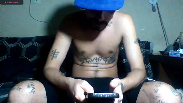 sellvageria webcam