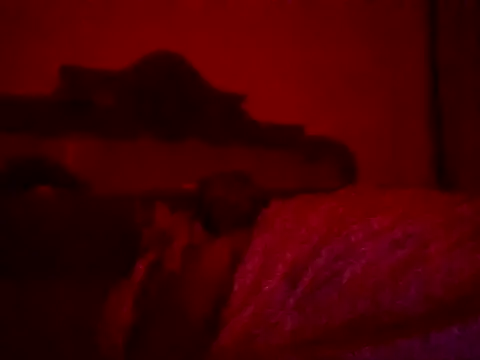 FuckkkStarrr live cam on StripChat