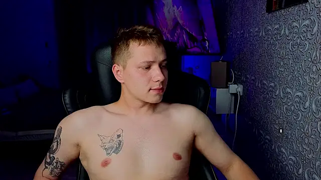 Karl_Night_ webcam