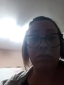 lualviz webcam