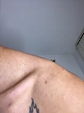 NelModel1 webcam