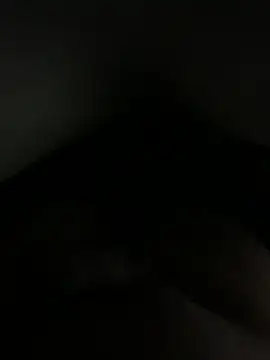 WildloveDuo webcam