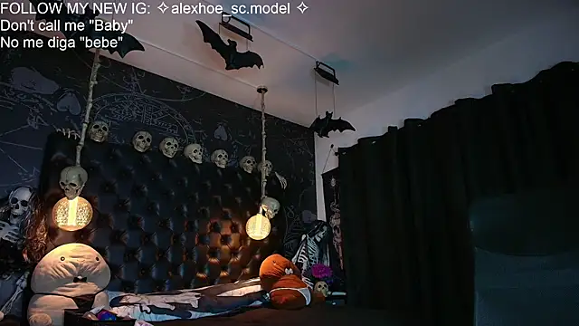 AlexHoe_ webcam
