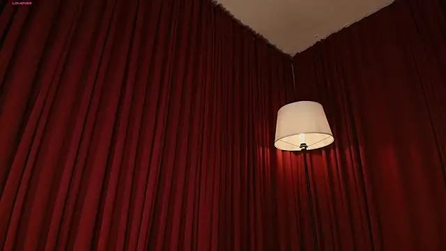Alice-blaker webcam