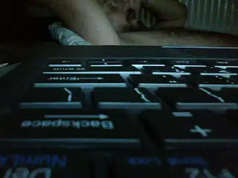 FROL83 webcam