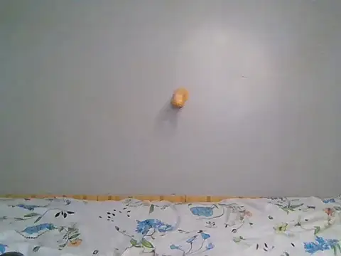 Sweet_smiles2 webcam