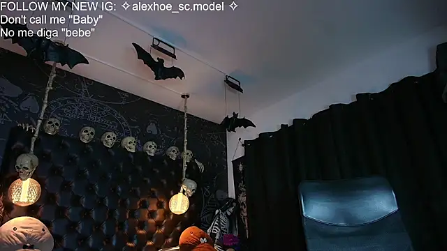 AlexHoe_ webcam