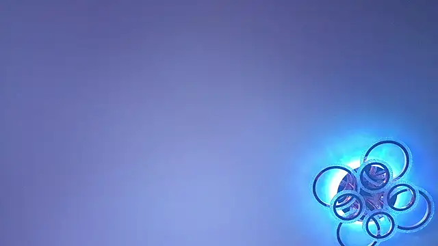 PerryKitty webcam