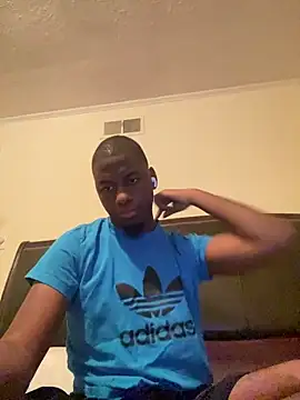 ThickDic28 webcam
