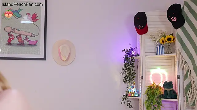 Island_Peach webcam
