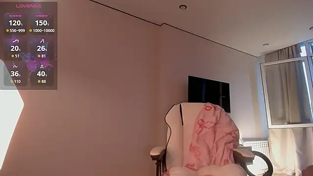 koyoomi webcam