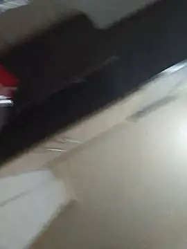 vulpe8400 webcam