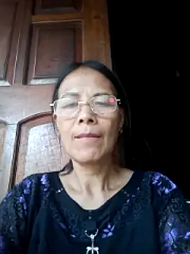 toyo_668 webcam