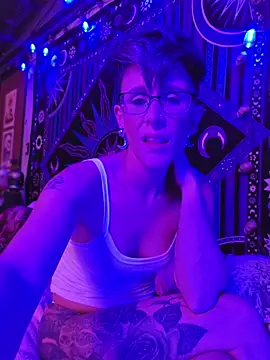 nephilaaranea webcam