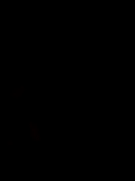 abdealrh webcam