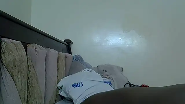 ndibo1523 webcam