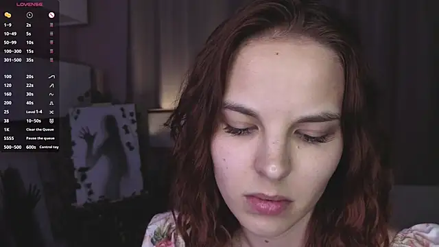 SinaHogsette webcam