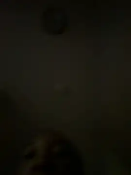 LeBimbo webcam