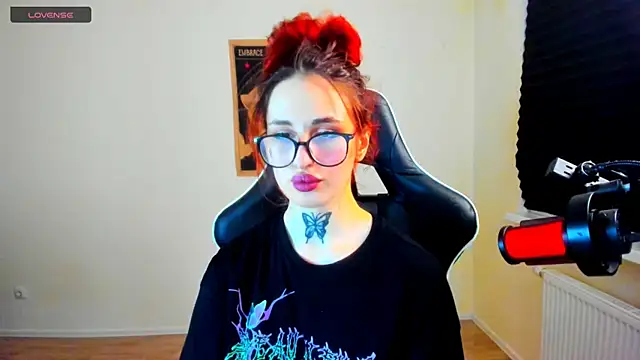 your_tora webcam