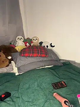 tinyweepixie webcam