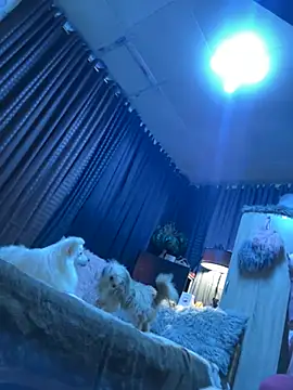 Your_dreambabe's live cam