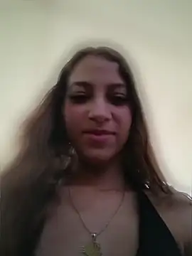 Vanneskk webcam