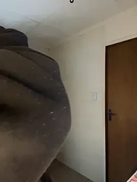 dogfrota webcam