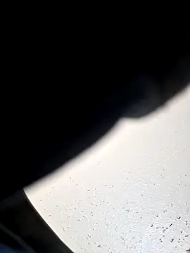 lowhangingdick22 webcam