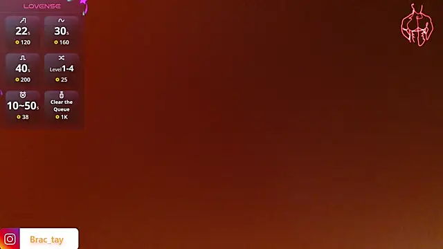Brac_tay webcam