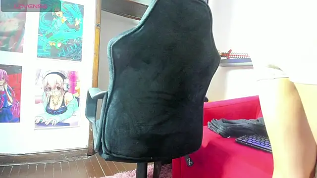 Vanes_hontter webcam