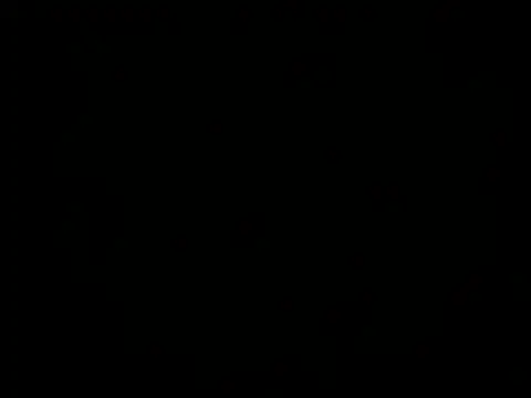 Fettysh webcam
