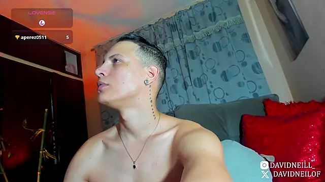 DavidNeill webcam